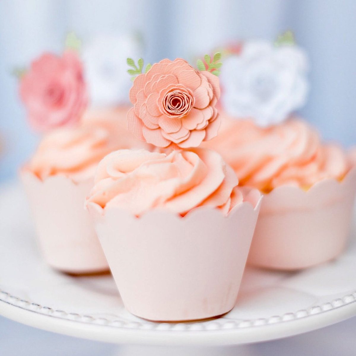 玫瑰纸杯蛋糕顶部，花朵纸杯蛋糕顶部，茶会纸杯蛋糕顶部，纸花纸杯蛋糕顶部